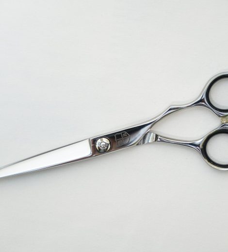 VG10 Master Series Polished Cutting/Thinning Set